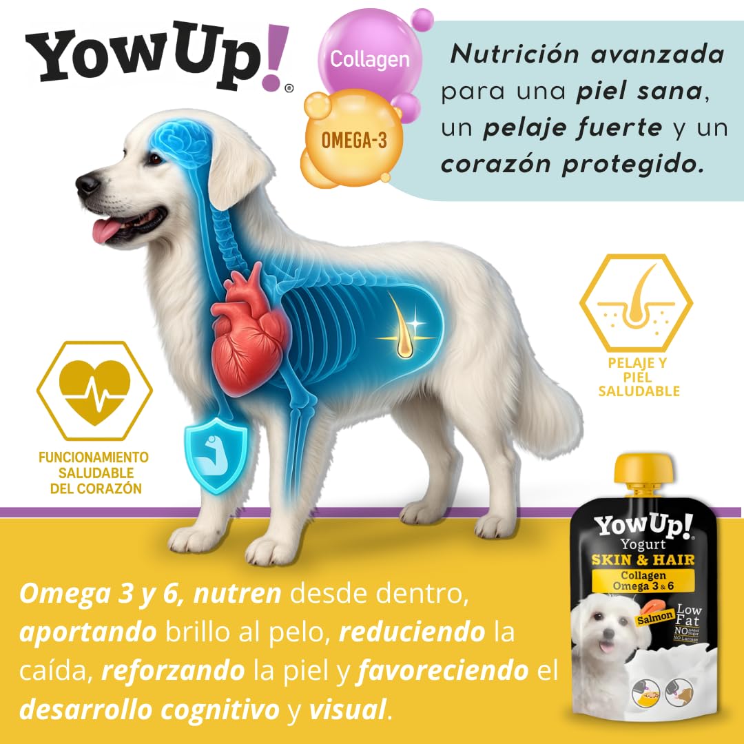 YowUp! Yogur para Perros Piel y Pelo | con Omega 3, 6 y Biotina | Pack Caja Display 10×115 g | Sin Lactosa, Sin Azúcares, Snack Funcional Saludable
