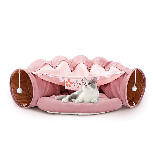 Galatée Cama y Túnel para Gatos con Alfombrilla, 2 Bolas De Felpa Colgantes