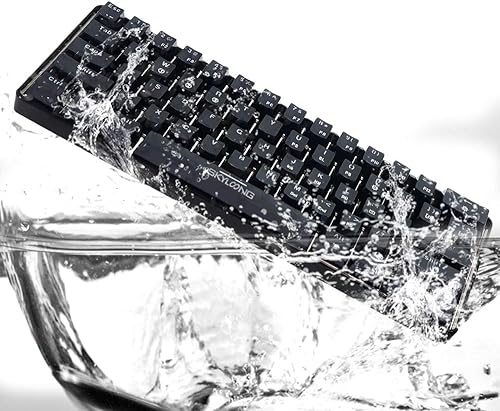 Miniatura 2 de SKYLOONG GK61 SK61 - Teclado mecánico de 60 %, teclas completas programables, RGB portátil, pequeño, compacto, impermeable, 61 teclas, interruptores