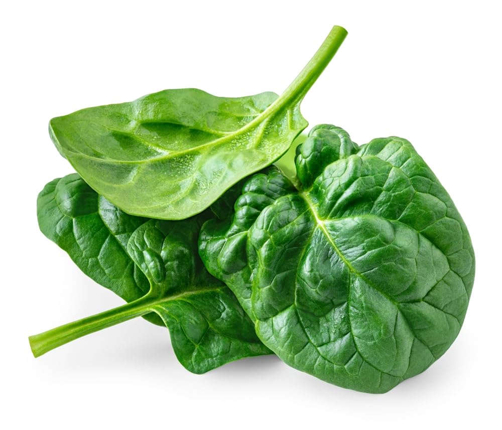 Spinach Plants, Spinach 'Perpetual' 6 x Full Plant Pack, Vegetable Plants, Cut and Come Again, Garden Veg, Fresh Produce, Garden Ready and Ready to Plant, Premium Quality Salad
