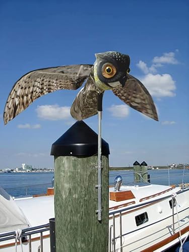 Miniatura 2 de Búho merodeador Bird-X, Multicolor