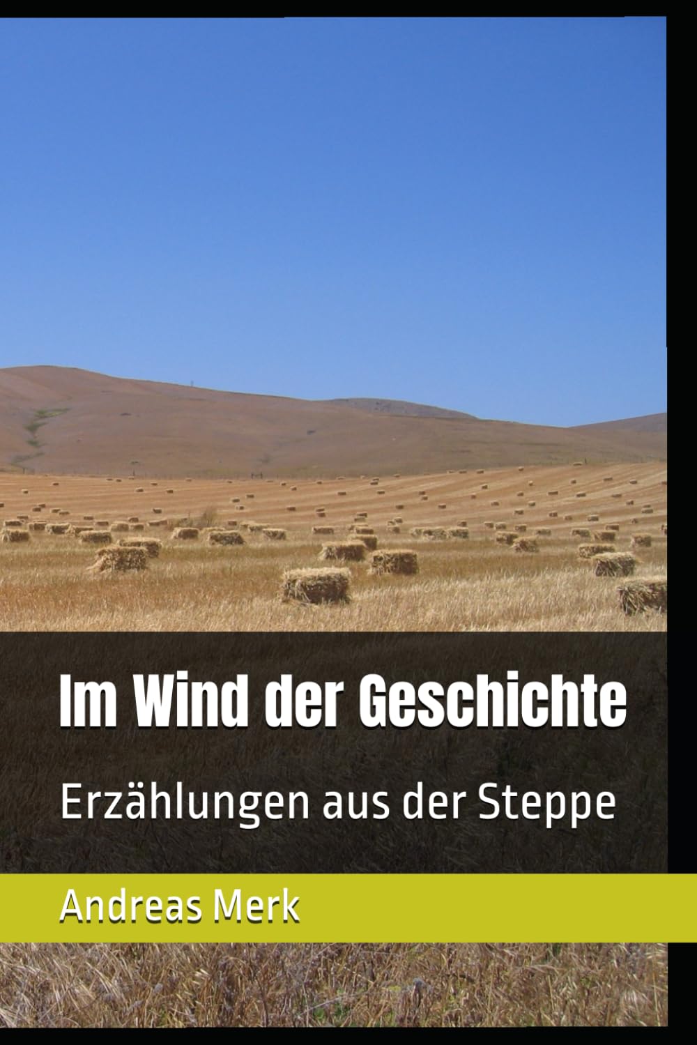 I’m Wind der Geschichte: Erzählungen aus der Steppe