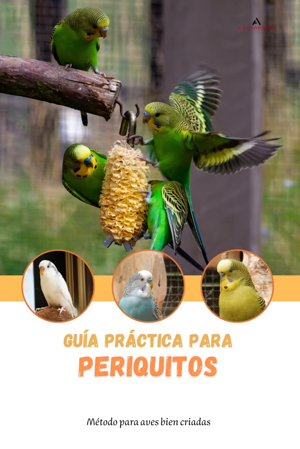 Guía práctica para periquitos: Método para aves bien criadas