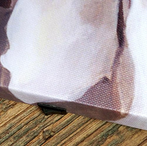 LED su Tela Cornice Stampa Artistica di Pioggia