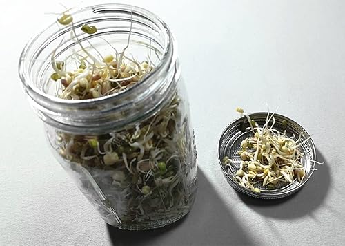 Vista 4 de Tapas de malla de boca ancha para brotar de acero inoxidable 316, tapa coladora para tarros de conservas masón, germinación de semillas, brotes de 4