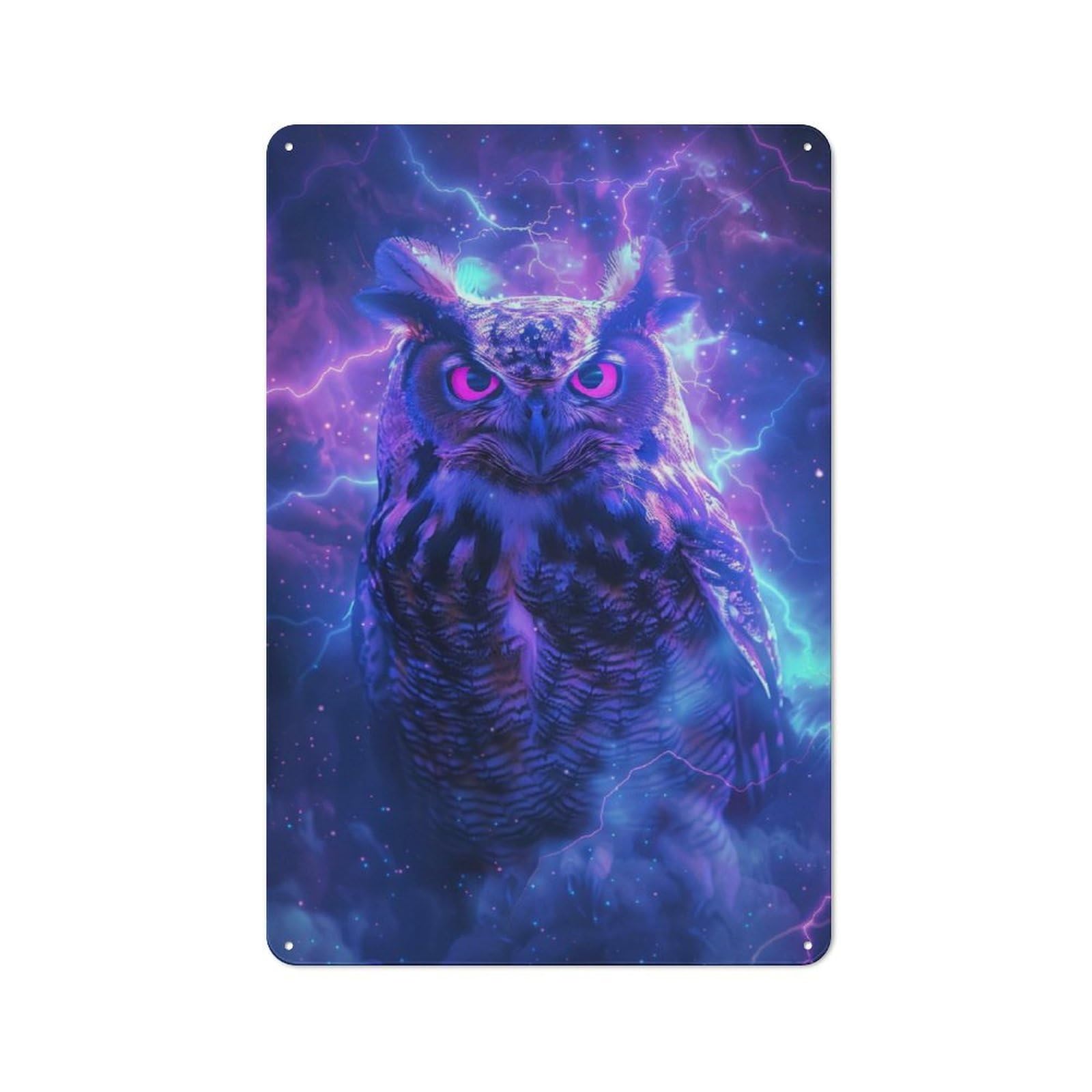 Junmoney Owl Bird Space Vintage Tin Sign 30X20cm With For Guest Room Or Hallway, Suited To Wall Displays In Guest Rooms And Hallways