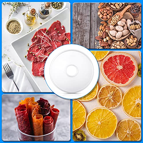 Fruit Roll Dehydrator Sheets Round Food Grade Plastic Fruit Roll Sheets White Fruit Roll Dried Fruit Leather Meat Beef Christmas Birthday Party Home Kitchen Bakery Use, 12.2 Inch (4 Pieces) #TOP6
