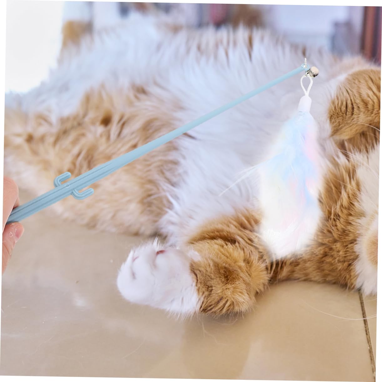 Sosoport 20stücke Katzenangel Spielzeug Teilig Mit Feder Und Ergonomischem Griff Sicheres Interaktives Katzenspielzeug Für Drinnen Fördert Spiel Und Bewegung Für Katzen Und Kätzchen