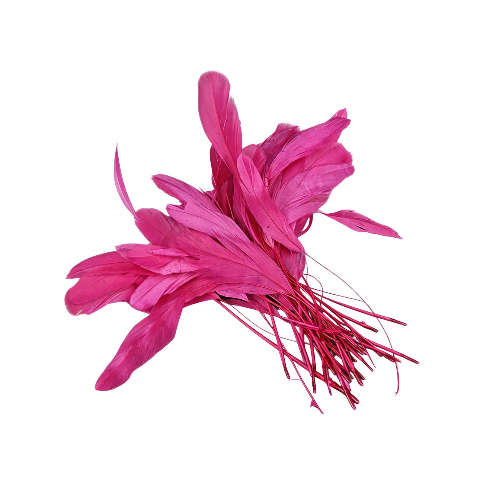 yanzunlrn Of 50 Multiple Color Plumage 12 18CM for Unique Costume Accessories and Event Decoration Long Craft Quills