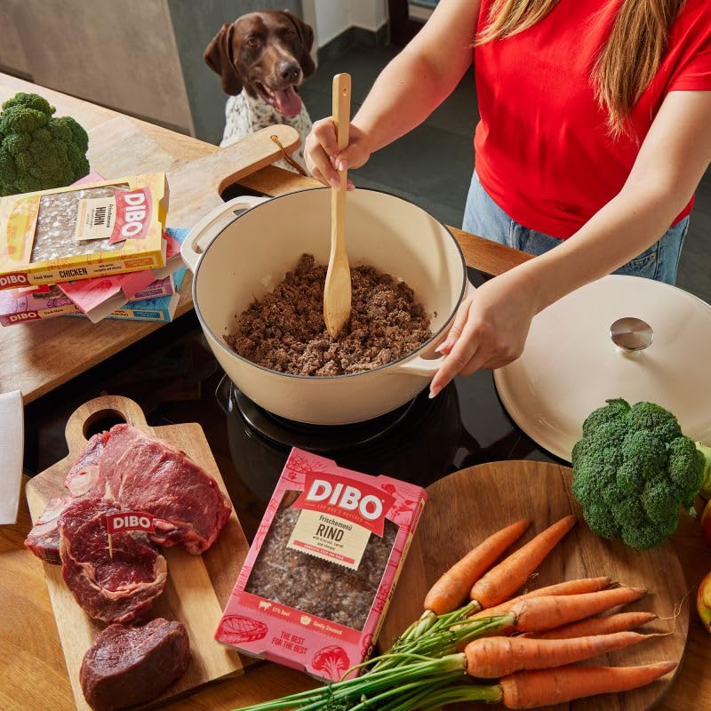 DIBO Frischemenü Lachs 18kg (45 x 400g) - Tiefgekühltes Komplettmenü mit Lachs, Reis & Gemüse – Omega‑3‑reiches Hundefutter - Sous‑Vide gegart