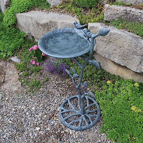 Image of Oakland Living Meadow Bird Bath, Verdi Grey