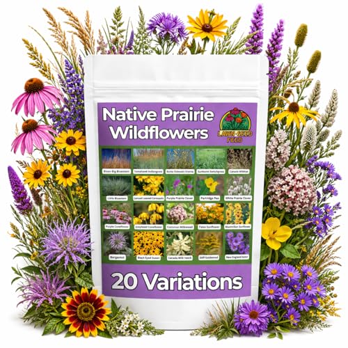 Native Prairie Mix (2oz) Restores Your Landscape with Authentic Prairie Blooms. Tough, Low-Maintenance, and pollinator-Friendly—Plant Once and Enjoy Natural Color All Season!