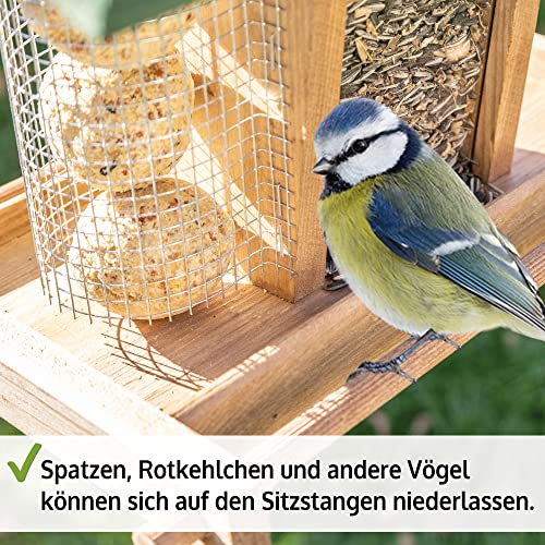 zooprinz Vogelhaus zum aufhängen – Vogelfutterspender mit stabilen Sitzstangen und Schutz-Dach für Wildvögel – witterungsbeständig und langlebig – Mit Seil