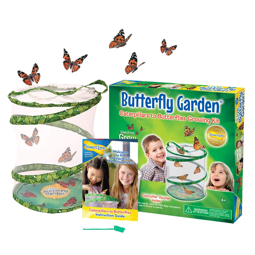 Buki - 8010 - Schmetterlingsgarten