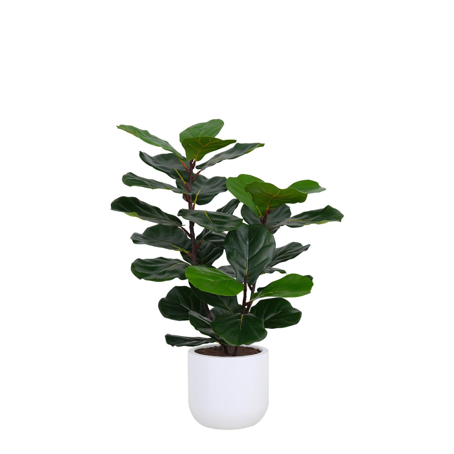 CG Hunter Faux Fig Tree, Premium Artificial Indoor Tree Stands 3-ft Tall, Lifelike-Leaves & Hand Painted Trunk, Pot Included