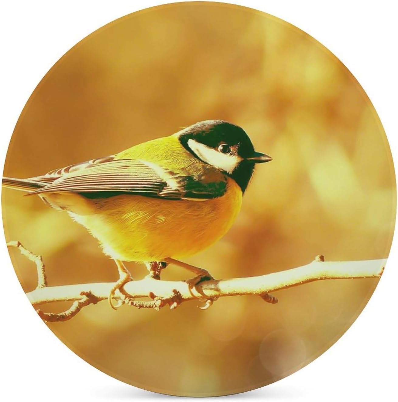 Ceramic Coasters for Drinks, Tit Great Tit Bird Eyes Coaster Set, Coasters for Coffee Table, Coaster Set for Tabletop Protection, Coasters with Cork Base, Farmhouse Home Kitchen Decor