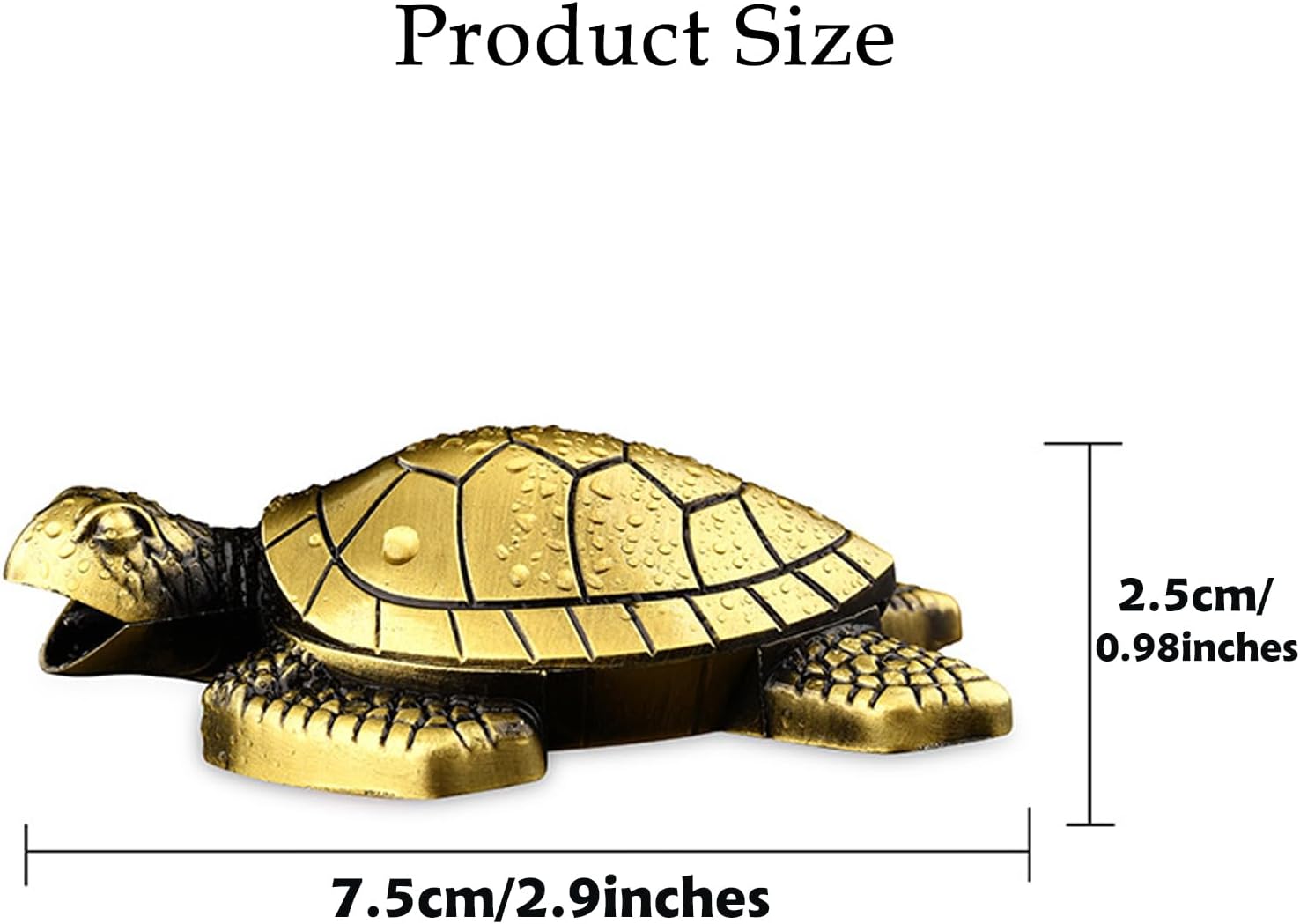 https://m.media-amazon.com/images/I/61ae-XAlB9L._AC_SL1500_.jpg