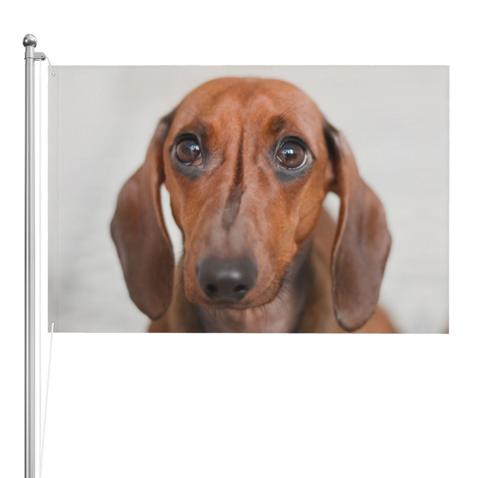 Drapeau de chien triste : le cadeau de jardin insolite idéal - 8