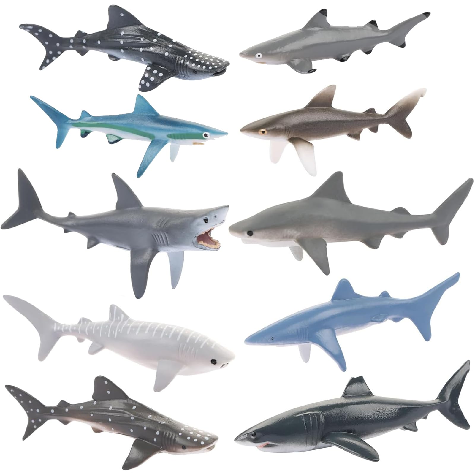 EujRcf 10 Pcs Shark Model, Miniature Realistic Marine Ornaments Animals Figures, Ocean Creatures Cake Topper, Educational Ornaments for Party Decoration, Landscape Layout and Kids Gift