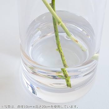 クレイ CLAY ポリカーボネート直径20高さ50 花瓶 フラワーベース Clay（フラワーベース） ＼期間限定ポイント10倍／ 割れない花瓶