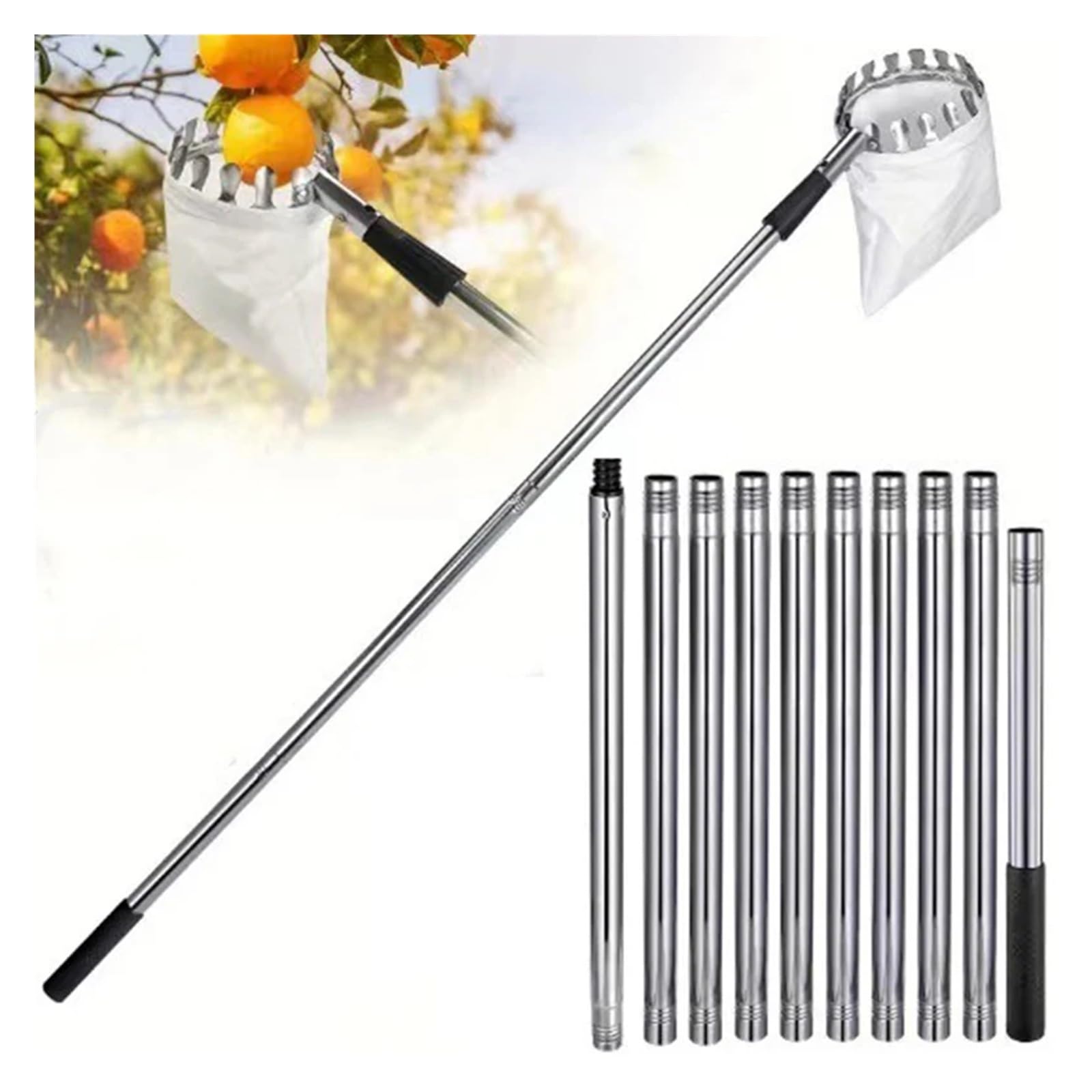 Attrezzo Raccogli Frutta Raccoglitrice di frutta con asta telescopica in acciaio inossidabile da 1,6/2,4/3,2/4 m(4M Fruit Picker)