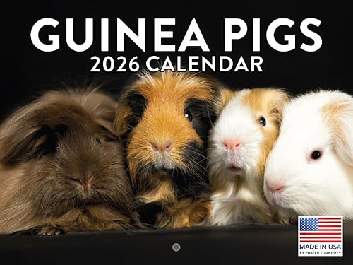 Vista 82 de Calendario alpaca 2026, calendario mensual de pared de 12 meses Hecho en Estados Unidos. Red Pandas