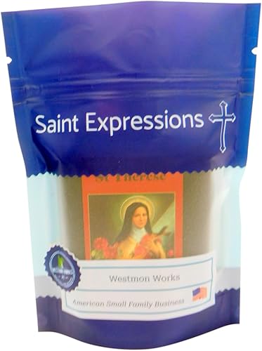 Miniatura 8 de Westmon Works Juego de collar de medalla de Santa Teresa con medallón en una cadena de acero inoxidable en caja con tarjeta de oración Saint