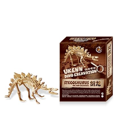 Leoie Early Education Large Dinosaur Skeleton Excavation Kit Assembled Toy with Digging Tools Stegosaurus