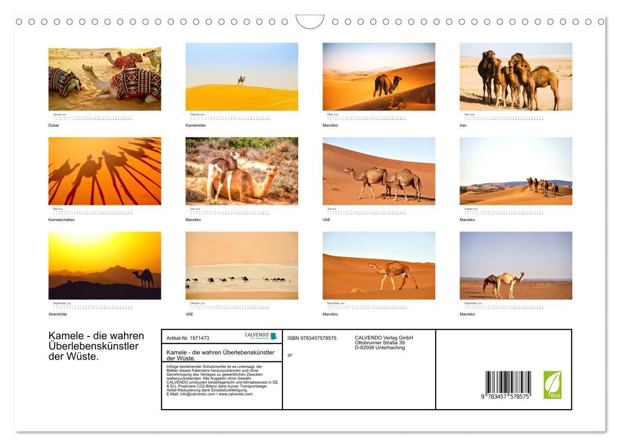Kamele - die wahren Überlebenskünstler der Wüste. (Wandkalender 2026 DIN A3 quer), CALVENDO Monatskalender: Die geheimnissvollen Tiere der Wüste. (CALVENDO Orte)