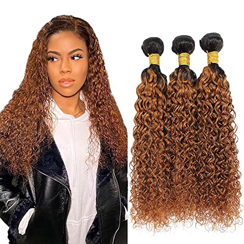 20 20 20 Inch Ombre Kinky Curly Bundles Brown Curly Hair Bundles 100% Unprocessed Brazilian Brown Kinky Curly Hair Bundles Highlight Virgin Human Hair Curly Bundles Auburn Remy Human Hair Extentions