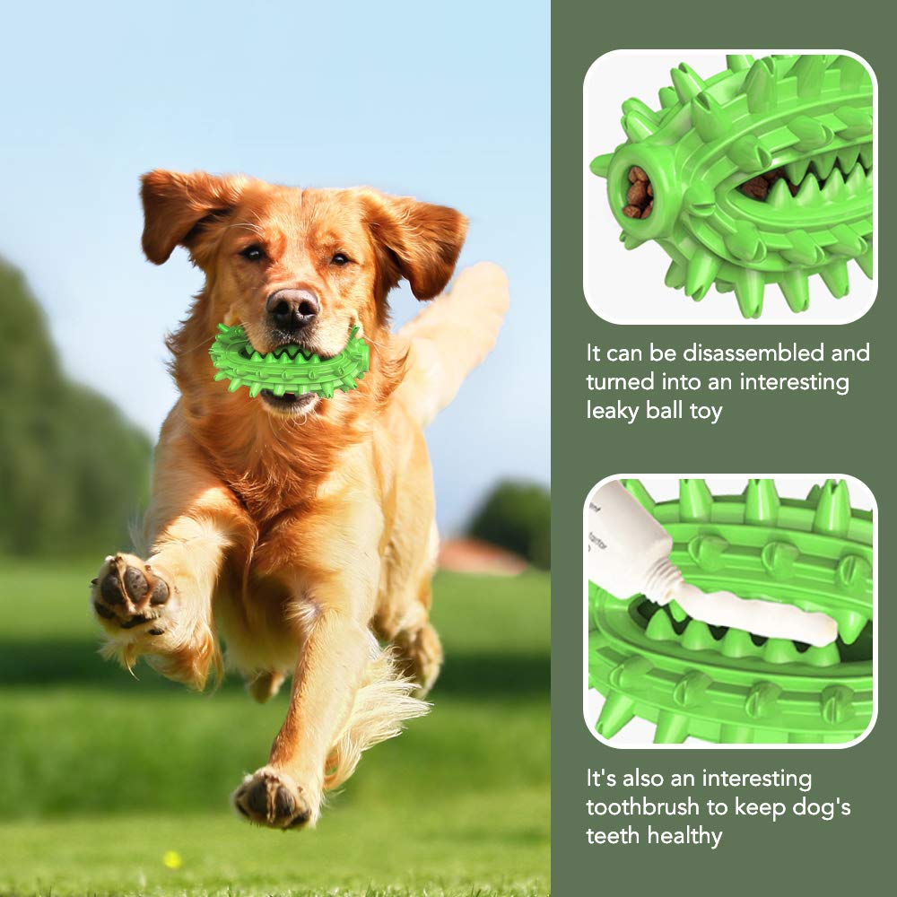 Kauspielzeug Für Große & Mittlere Hunde – Naturkautschuk Zahnbürste – Robust, Interaktiv & Zahnpflegend