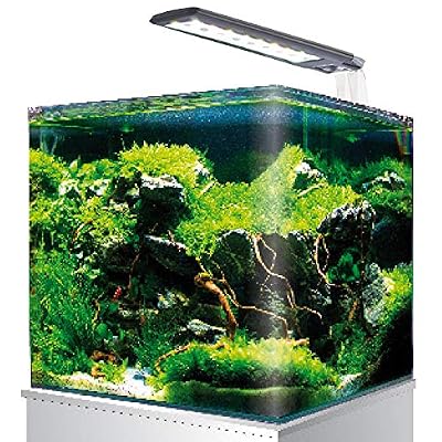 AMTRA NANOTANK, Aquarium en Verre Equipé LED et Pompe, 18L, Dimensions 25x25x30cm