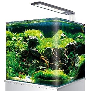 AMTRA Nanotank System 60 - Acquario in Vetro con Luce LED e Filtro, 60 Litri, Dimensioni: 38x38x43 cm