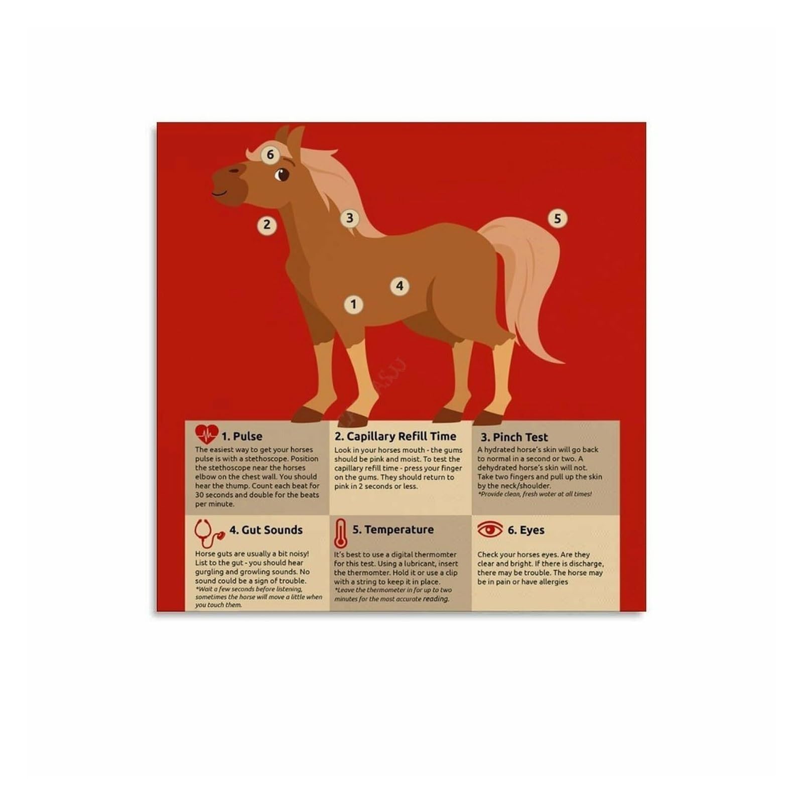HGETJOHXEM Essential Horse Health Chart, Vital Signs Information Poster for Equine Owners and Riding School Decor(Framed,12x18inch(30x45cm))