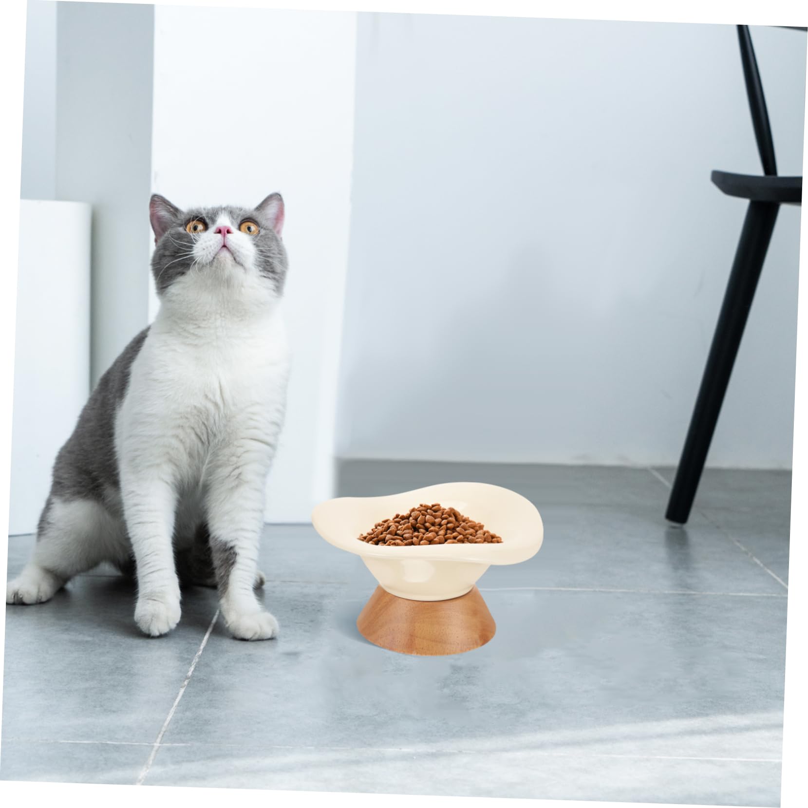 Comedero Elevado de Cerámica para Gatos, Cuenco Redondo Beige | Gran Capacidad, Superficie Lisa y Fácil de Limpiar, Diseño sin Rebabas y Uso Práctico para Mascotas