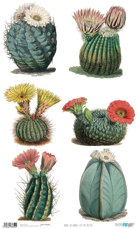 Papers For You Papel de Arroz 54x33 cm 25-30 gr. (Life In Cactus)