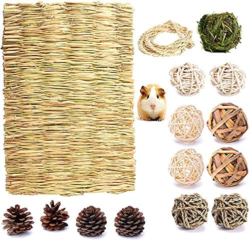 Fansisco Handmade Small Animal Activity Toys with Hay Timothy Grass Ball Rattan Ball Seagrass Ball, Water Hyacinth Ball and Chew Toys…