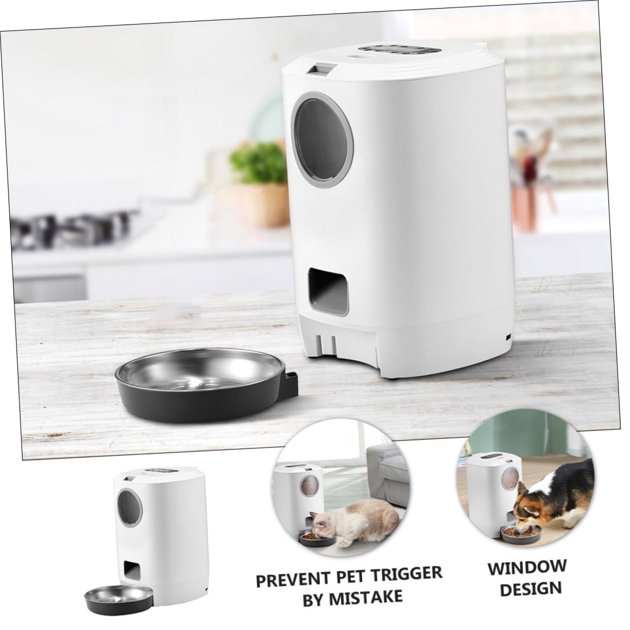 FRCOLOR 1pezzi Alimentatore Automatico Per Cani e Gatti Con Timer e Registrazione Personalizzata Dispenser Intelligente Per Cibo Secco Facile Da Pulire e Memoria Funzione