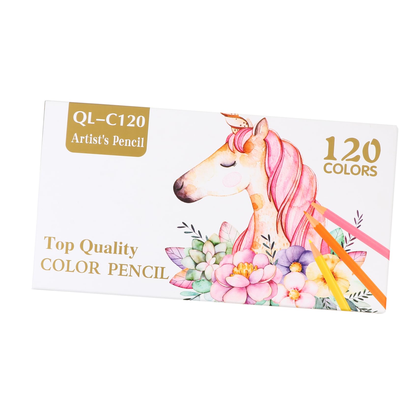 Ambiance de Crayons à Dessin pour Artiste 120 Couleurs