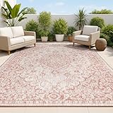 JONATHAN Y Boho Medallion Indoor Outdoor Area Rug 3X5 Red/Taupe, Rozetta Textured Weave for Backyard, Patio, Porch, Easy-Cleaning, High Traffic, Pet-Friendly, Non-Shedding (SMB102A-3)