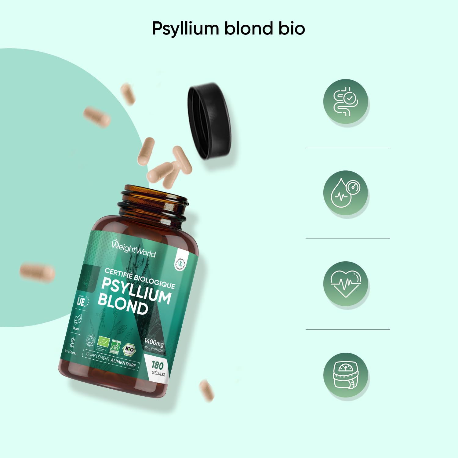 Duo Complémentaire - Curcuma Bio, Poivre Noir, Gingembre 365 Gélules Vegan - Psyllium Blond Bio 180 Gélules Vegan, Tégument de Graine de Plantago Ovata - Gélules Multi-Usages Certifiées AB