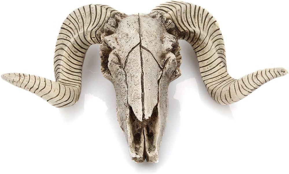 G6shopping Faux Taxidermy Animal Rustic Horns Wall Hanging Polyresin Home Decor for Bedroom/Office/Bathroom