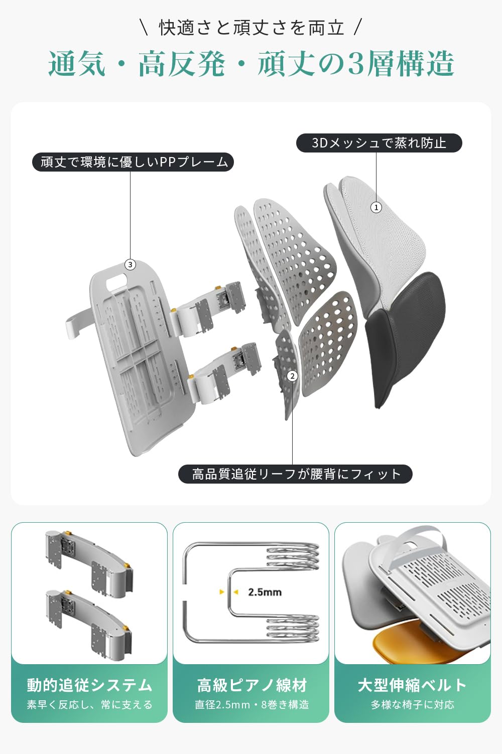 Amazon.co.jp: PACEIN ランバーサポート 【 四つ葉可動式】 高反発