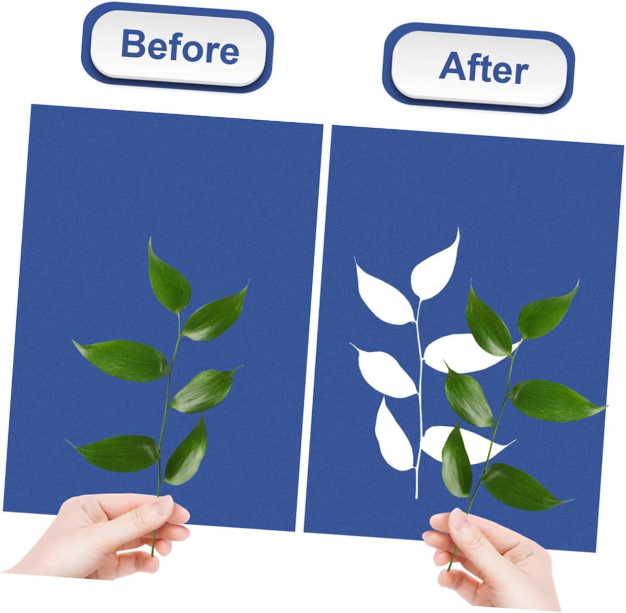 Angoily A5 Cyanotype Paper Kit for DIY Crafts Solar Activated Sun Printing Paper High Sensitivity Cyanotype Art Tool for Adults for Home DIY Projects