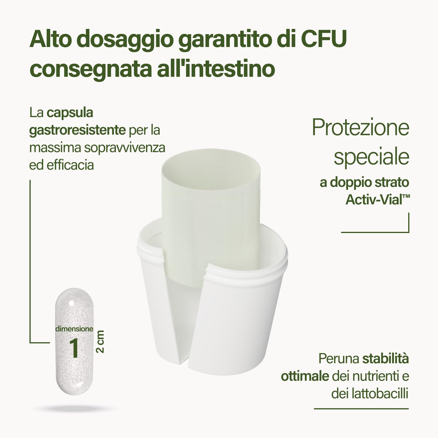 Nupure® Probaflor 110 capsule, con 20 miliardi di CFU, 11 ceppi batterici speciali, Con inulina e Lactobacillus salivarius SP2, Più protetto grazie allo speciale stagno, Vegano