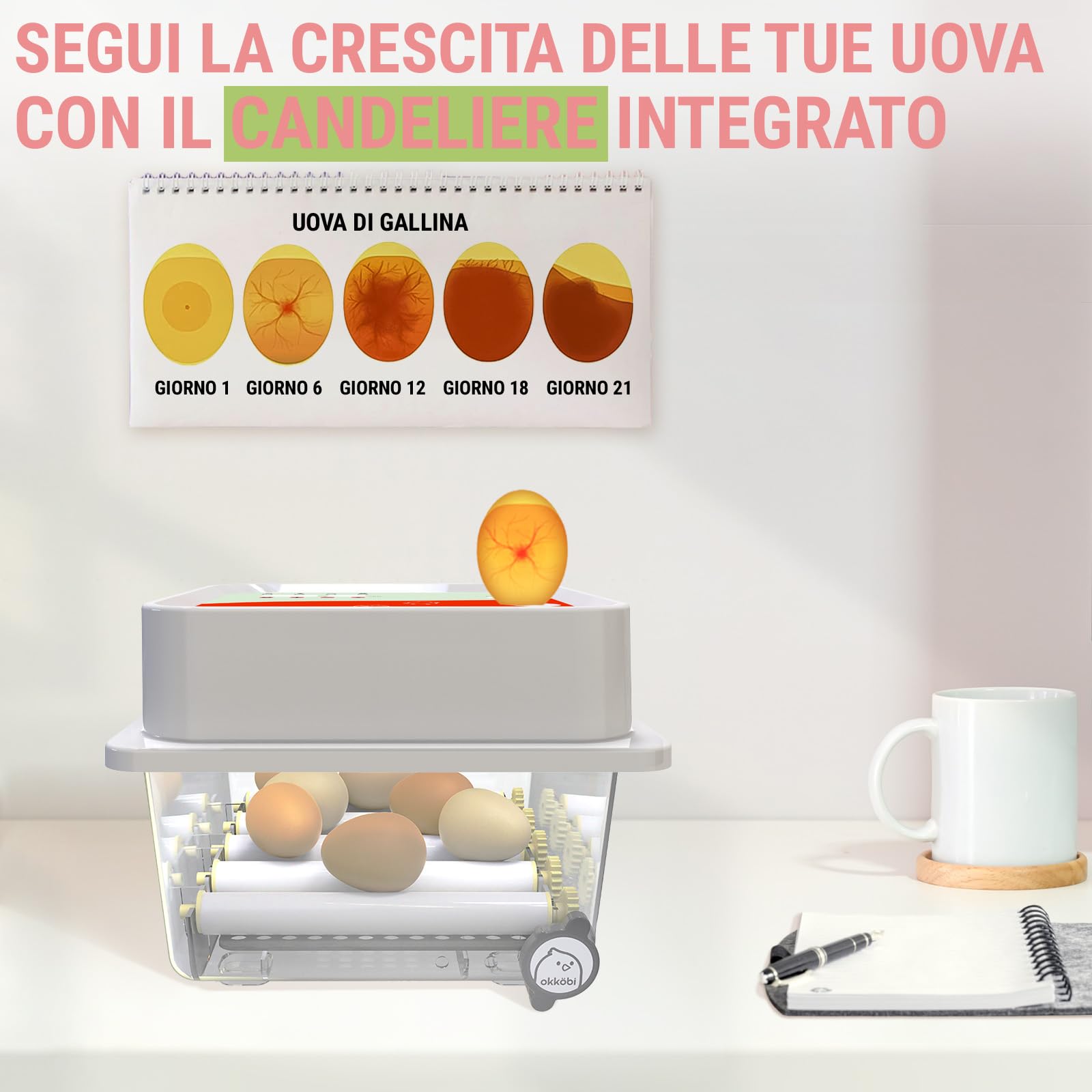 Incubatrice per Uova - 12 Uova - Ideale per Tutte Le età - Incubatrice per Uova Automatica Piccola con Girauova Automatico e Controllo umidità - Lampada sperauova - 5 Anni di Garanzia OBI-12