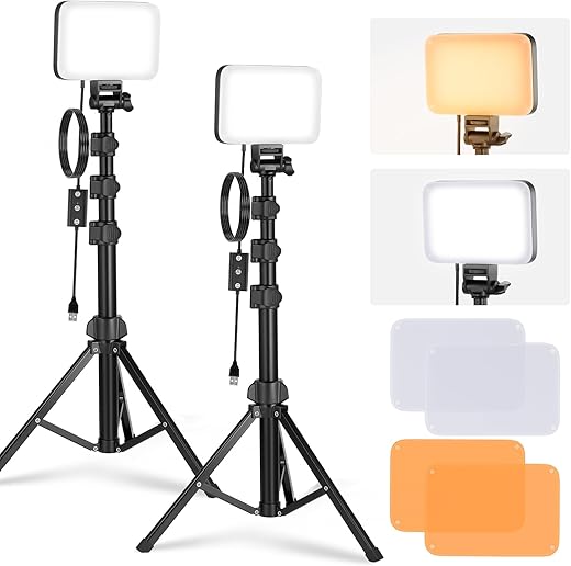 NEEWER BASIC LED Video Light Panel Lighting Kit, Pack of 2 Dimmable Bi-color Portable Studio Light with Brackets and Filters, 3200K~5600K CRI 95 750lux for Photography, Recording, Live Streaming, BP66