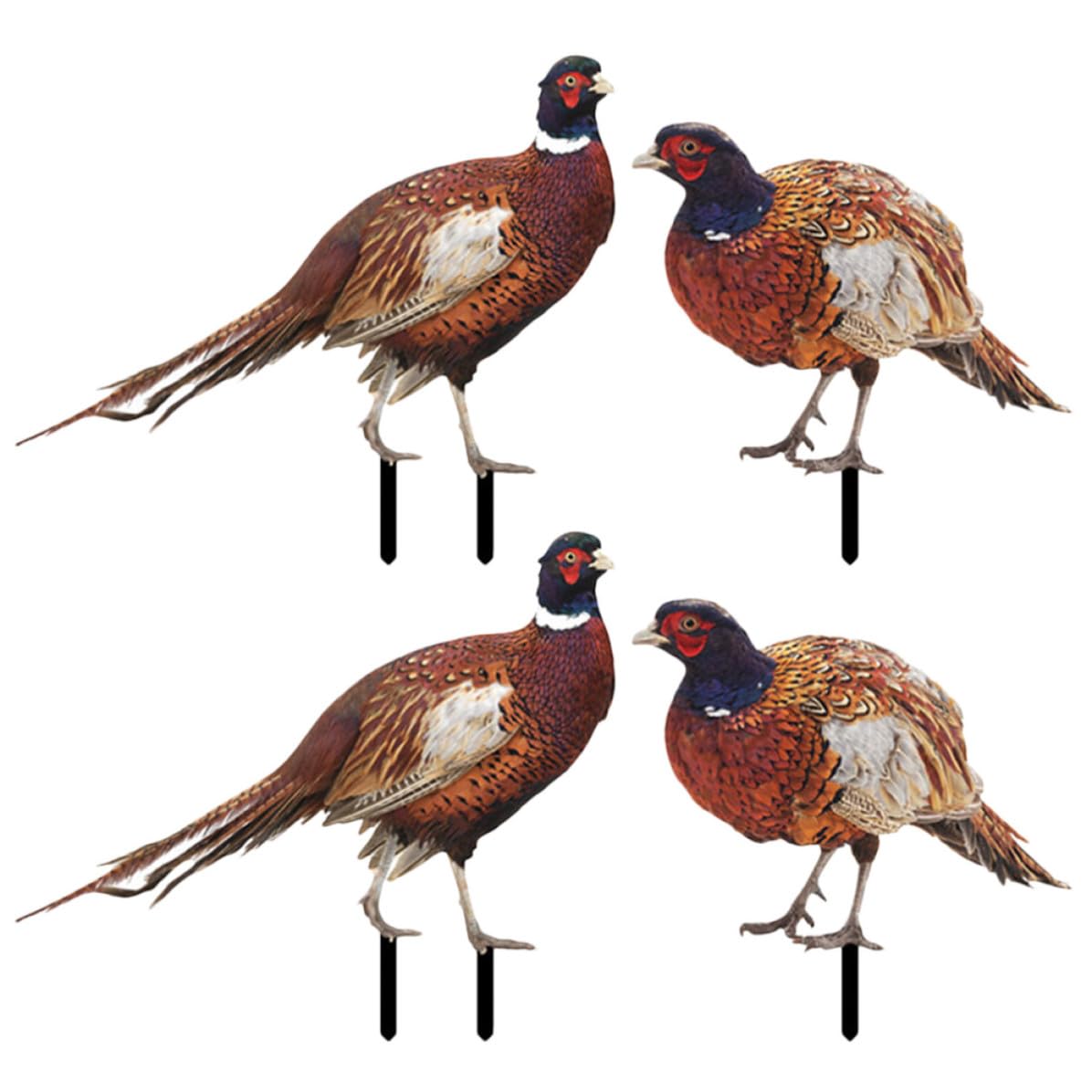 Piquets de poule en acrylique Alasum décor extérieur de jardin style faisan x2