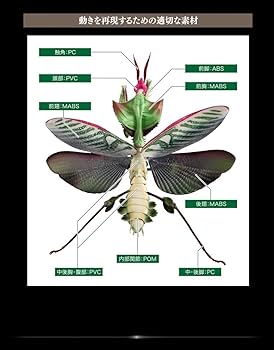 BANDAI - いきもの大図鑑　ニセハナマオウカマキリ　オス　成体　昆虫フィギュア　ガシャポン いきもの大図鑑アドバンス ニセハナマオウカマキリ｜ガシャポン