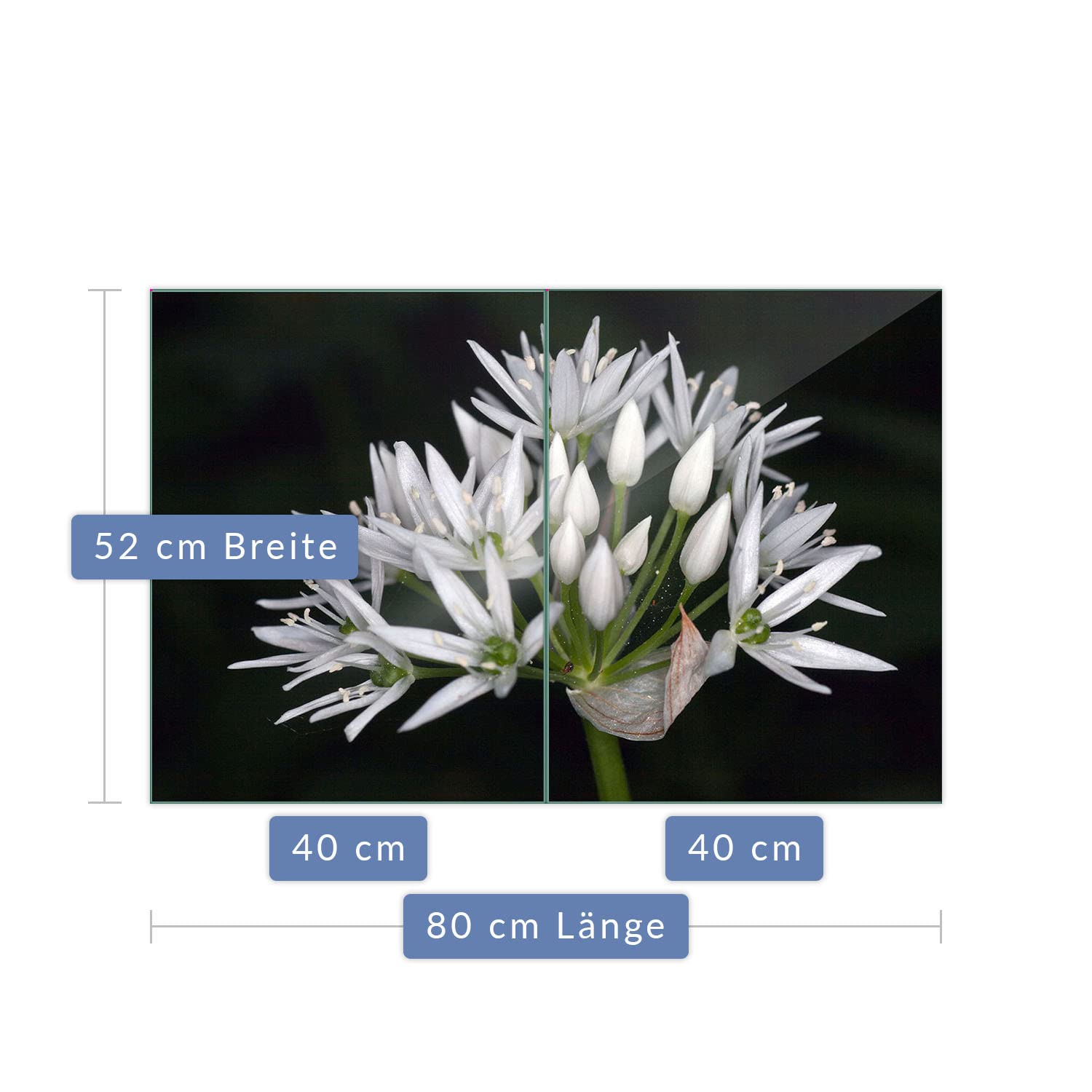 Placa para Cubrir la vitrocerámica, 2 Piezas, 2 x 40 x 52, diseño de Flores, Color Blanco, para inducción